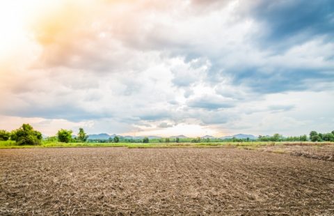 Land For Sale Lafenwa, Ogun State